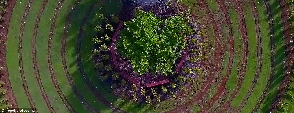 As couples line up to say their vows in the one-of-a-kind venue, Mr Cox revealed he spends around eight hours 'primping' the grounds before it is ready for an event