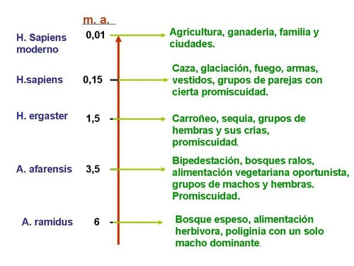 Evolución de la sociabilidad