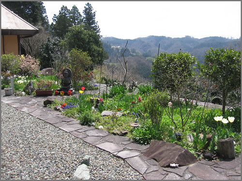 68 my colorful garden