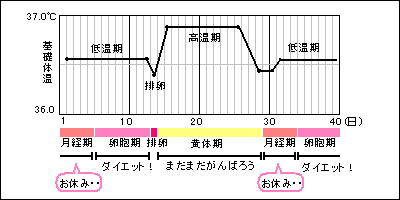 Girls Charm ダイエット 生理周期とダイエット