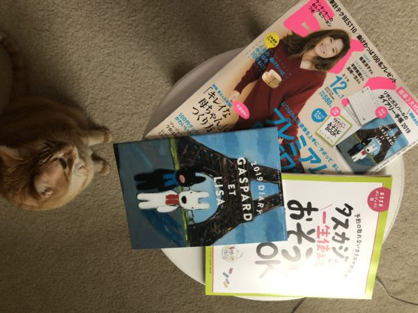 日本からの雑誌 付録など アメリカで猫とのんびり Hi From Ohio
