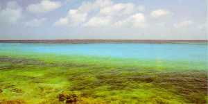 Playa con corales en los roques