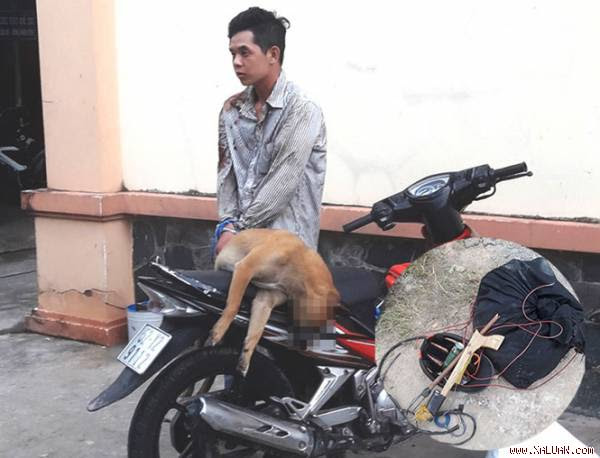 Phú và súng bắn điện từ chế cùng bình xịt hơi cay (ảnh nhỏ)