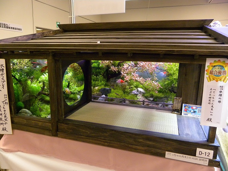 日本観賞魚フェア 日本メダカ協会 千葉県松戸支部