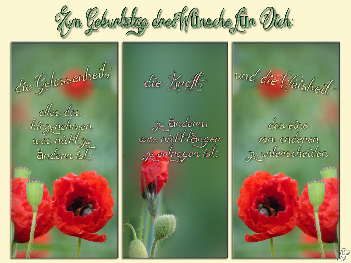 die besten geburtstagswünsche