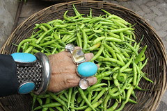 Online Mirchi Blogs by firoze shakir photographerno1