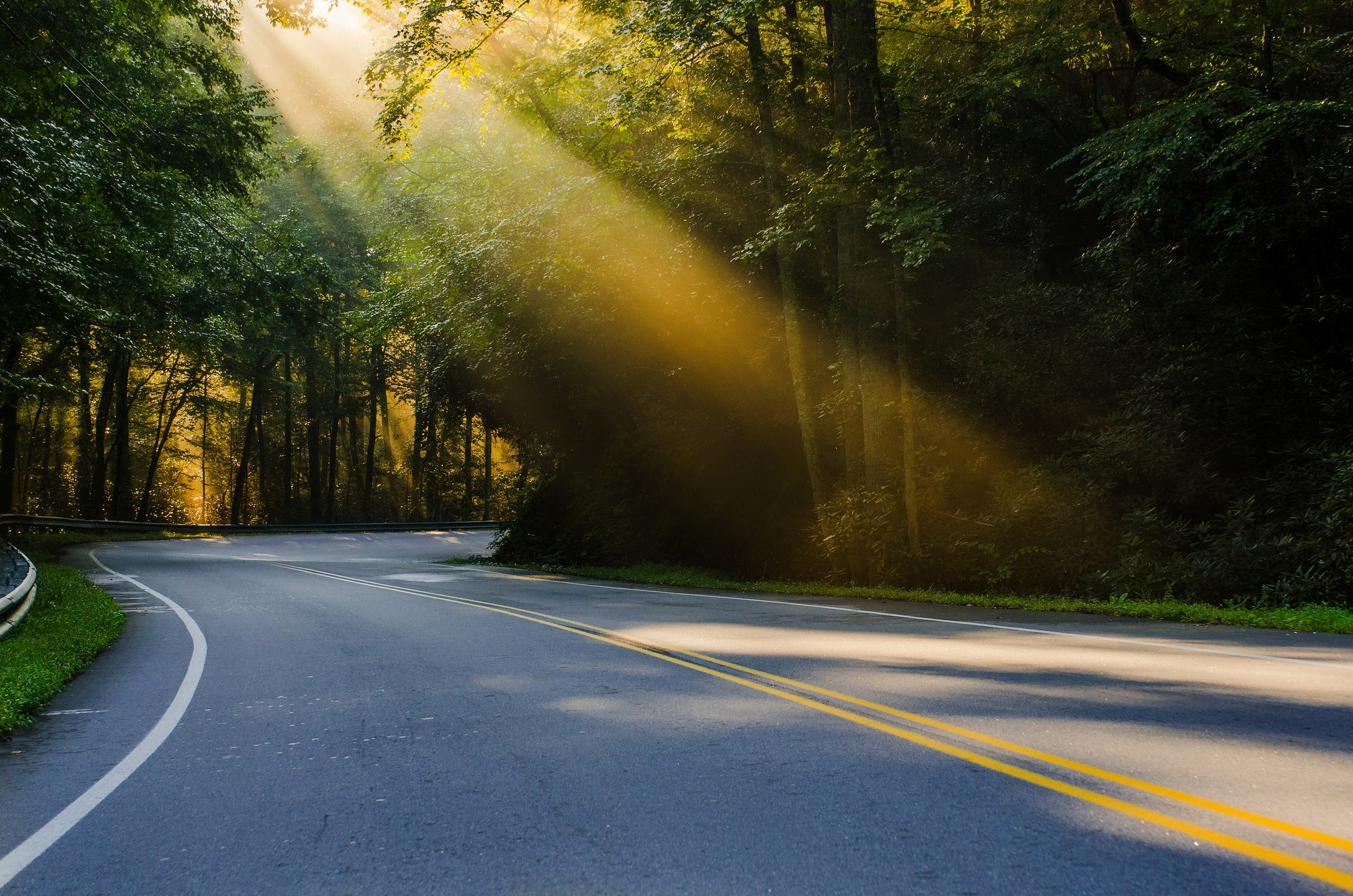 road light