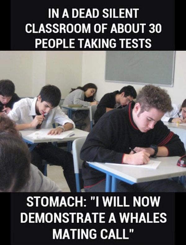 random funny images
