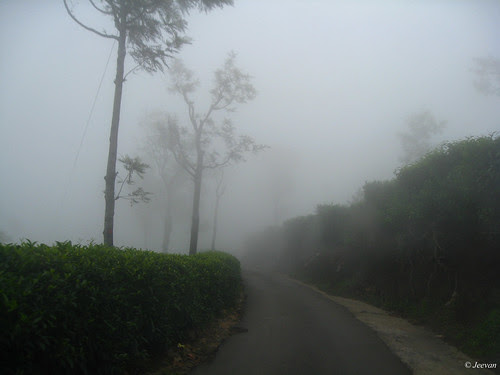 mist