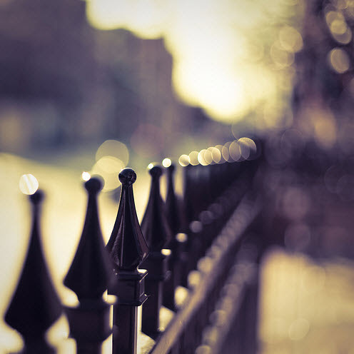 Beautiful Bokeh Photography Examples