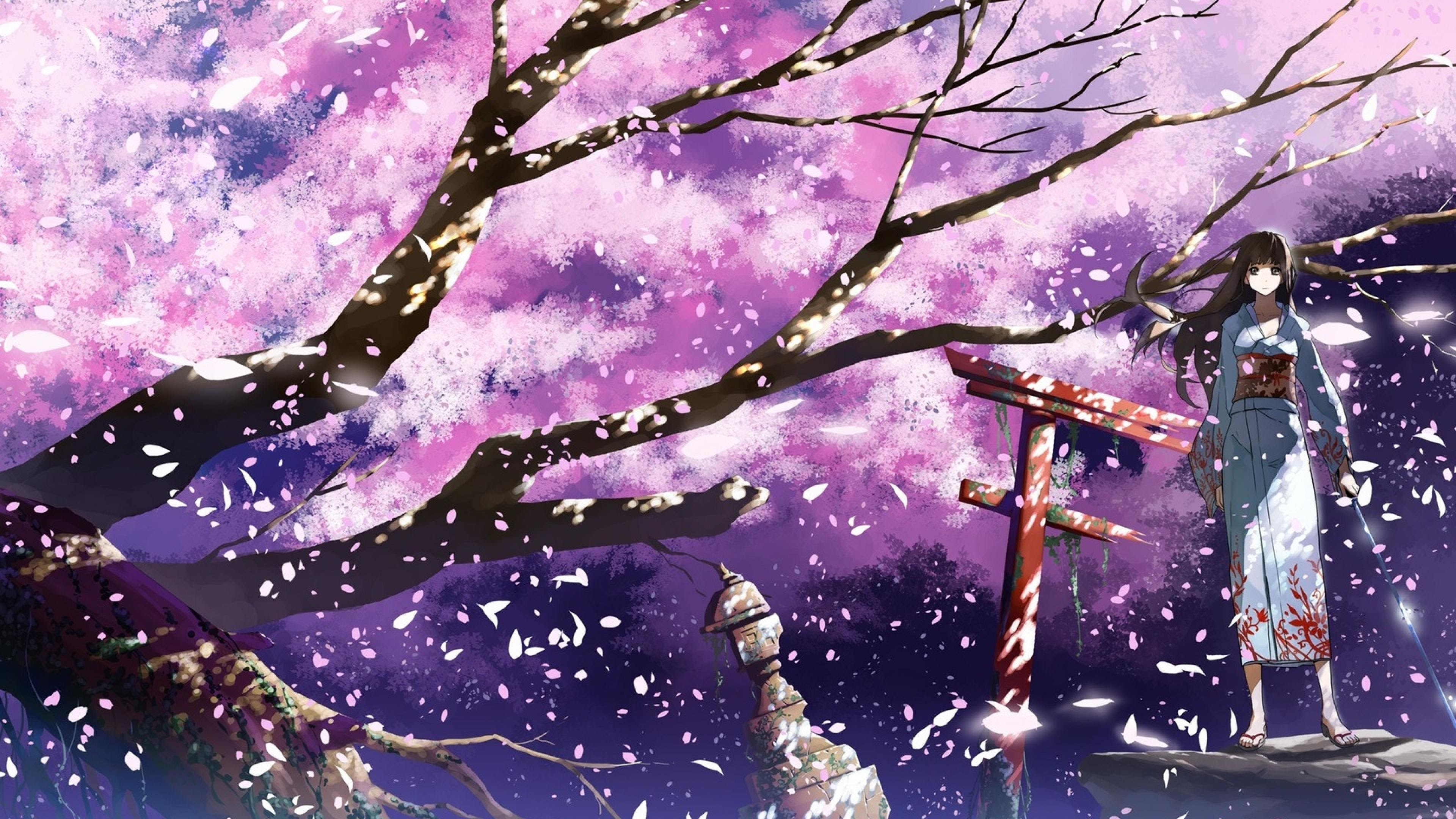 Anime Cherry Blossom Wallpaper (72+ images) Kaisa wallpapers 4k hd for desktop, iphone, pc, laptop, computer, android phone, smartphone, imac, macbook, tablet, mobile device.