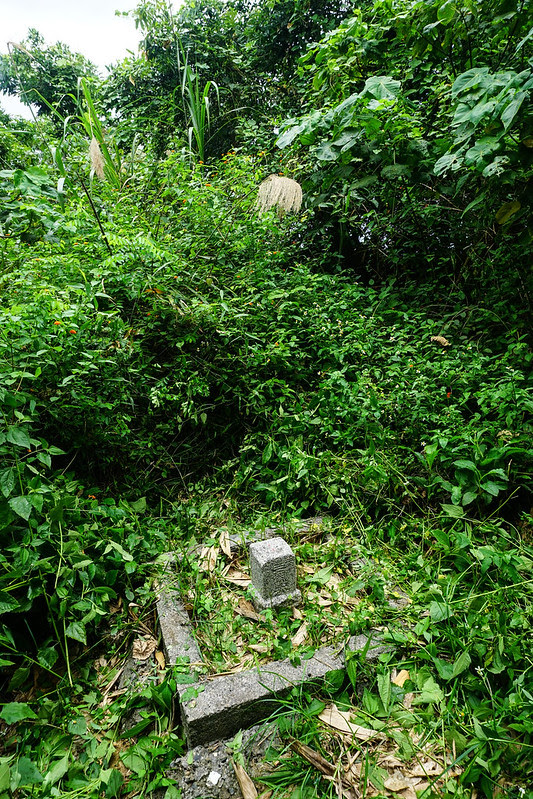 DSC05965