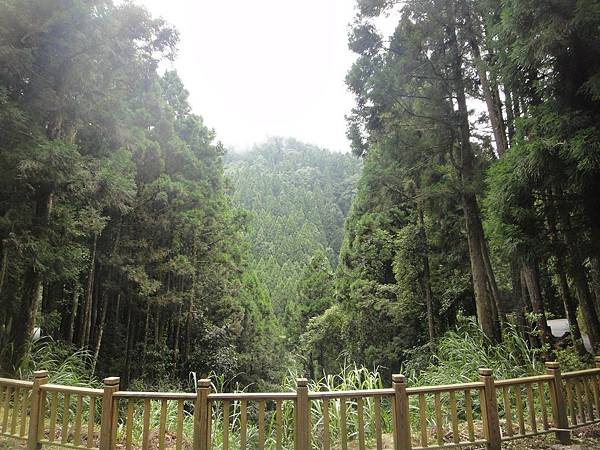 杉林溪: 燕庵