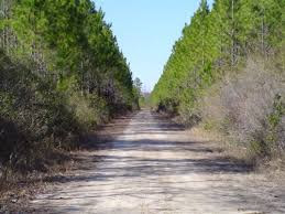 Liberty County land