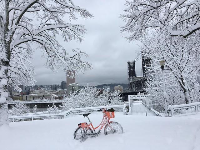 Riding bike share in the snow