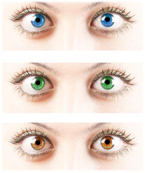  what are dominant and recessive genetics eye color color