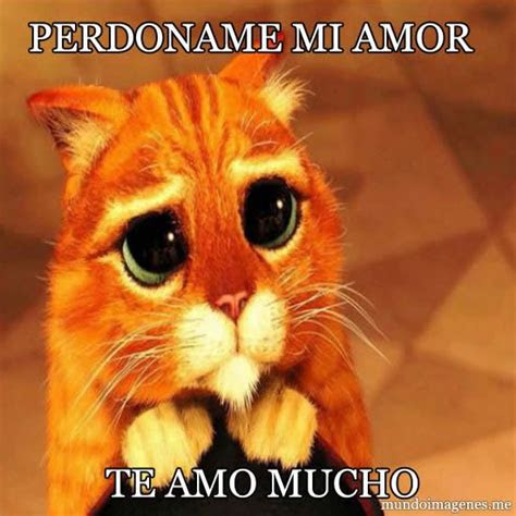lindas imagenes originales  pedir perdon  la pareja