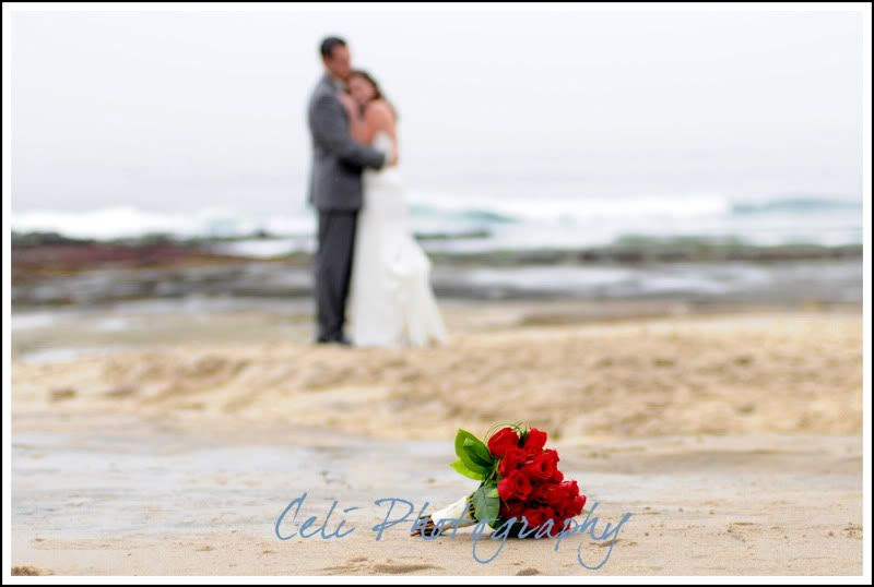 San Diego wedding photography,La Jolla weddings,wedding Bowl La Jolla