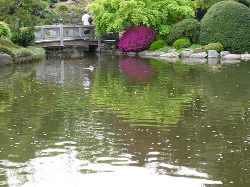 Brooklyn Botanic Gardens May 6, 2009