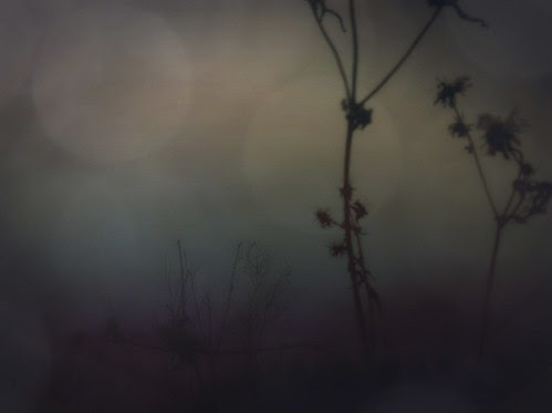 Lost in the Dark - (explored) by BLACK EYED SUZY