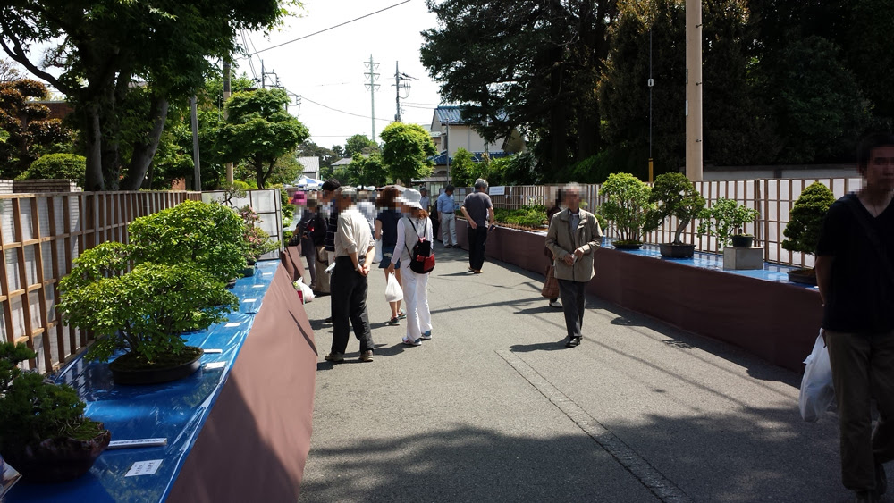19年 大盆栽まつり 埼玉県さいたま市北区盆栽町