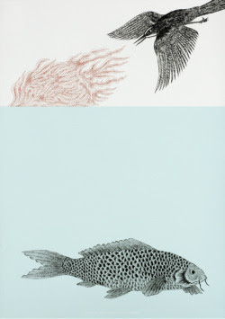 Illustrations