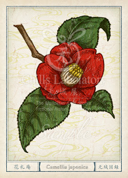 ツバキ 椿 の花言葉 誕生花 イラスト チルの工房 无域屋 花札庵
