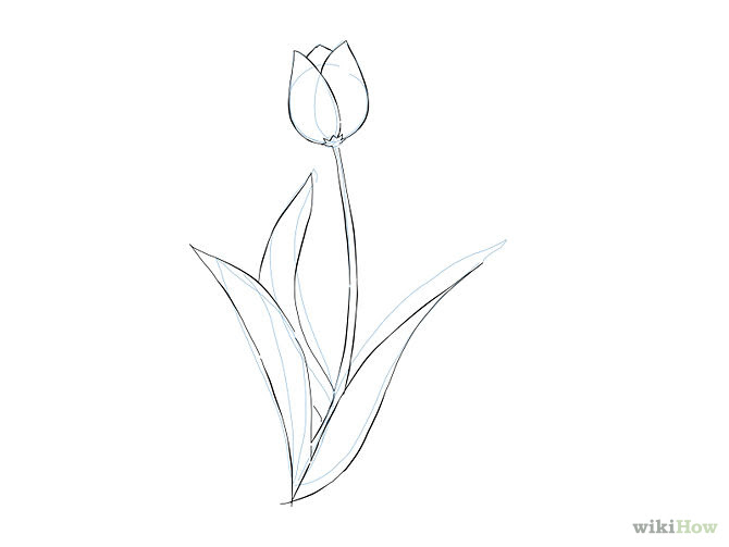 free simple flower drawing download free clip art free clip art on clipart library