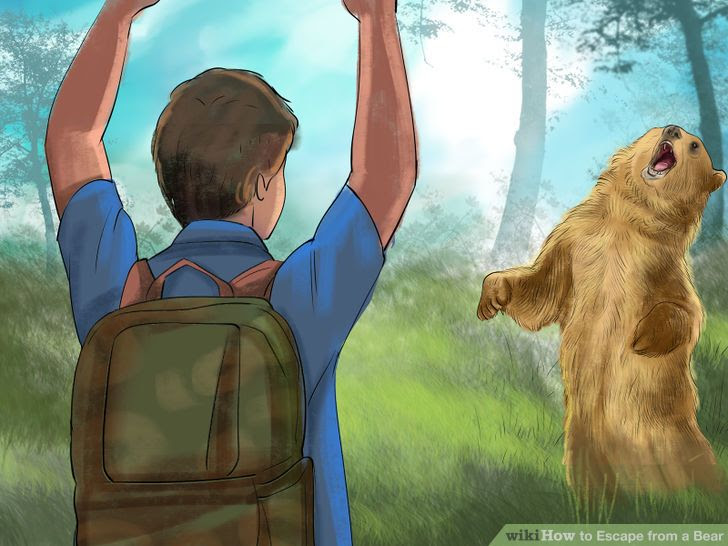 Escape from a Bear Step 16.jpg