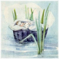 Moses in basket