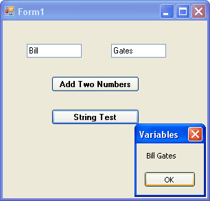 the VB NET form