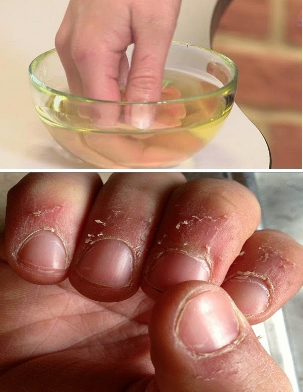 صورة ذات صلة