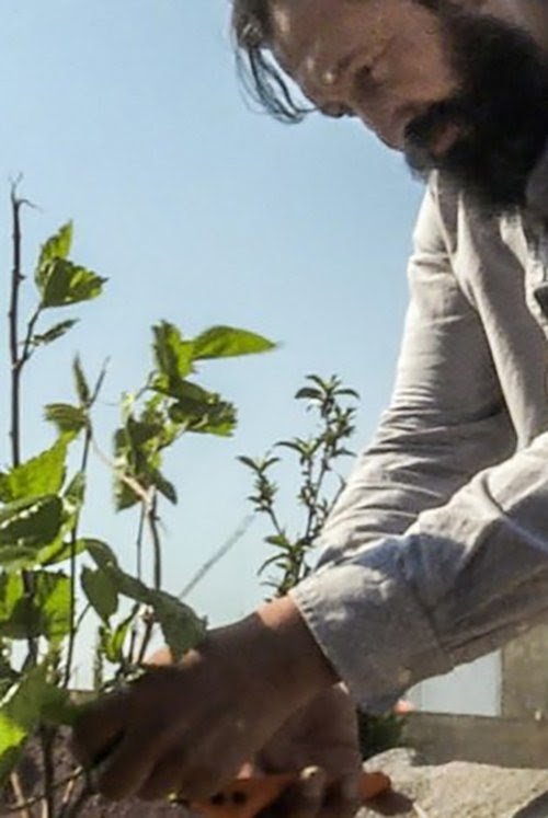 (UHD Filme) Film Carta al Campo 2020 Ganzer 1080p Deutsch Komplett