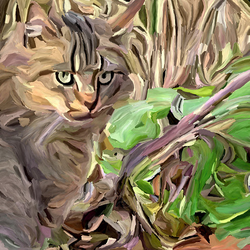 Cat Cammo by gingerpig2000