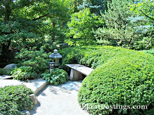 hardscape2