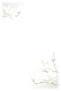 はがき素材 季節の花工房 喪中はがき 年賀欠礼 テンプレート 白木蓮