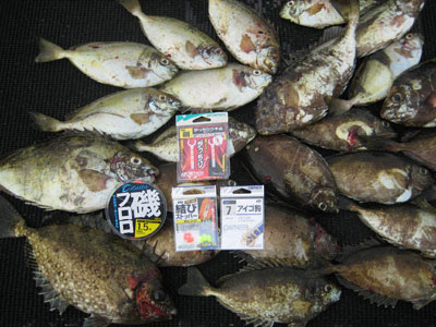 アイゴ狙い ちょっとshot Blog