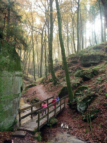 Petite Switzerland - Hike