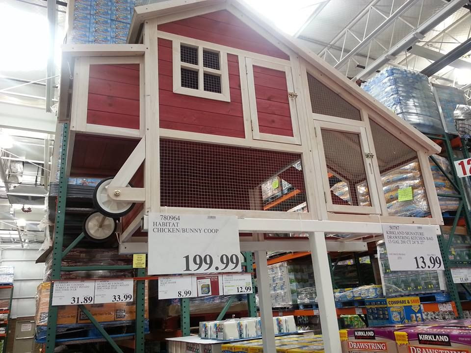 Chicken coop / rabbit hutch at Costco. | Rabbit / Chicken Coop / Hutch ...