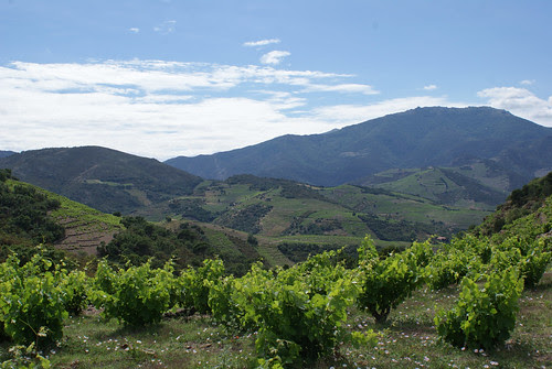 DSC05680