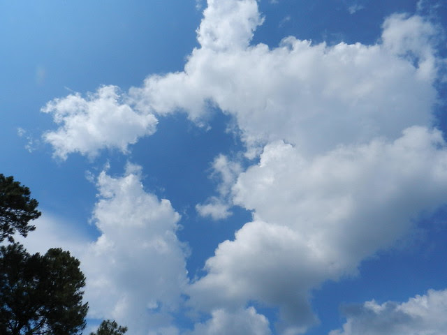 skywatchDSCN7248