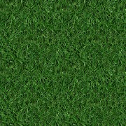 20+ Ide Texture Herbe