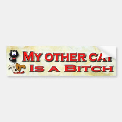 My Other Cat... Bumper Sticker