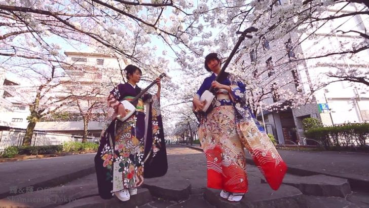 桜の下で三味線を演奏する日本人女性デュオに外国人が感動 最高だ Rockだ 海外の反応 海外の反応 ニッポンの翻訳