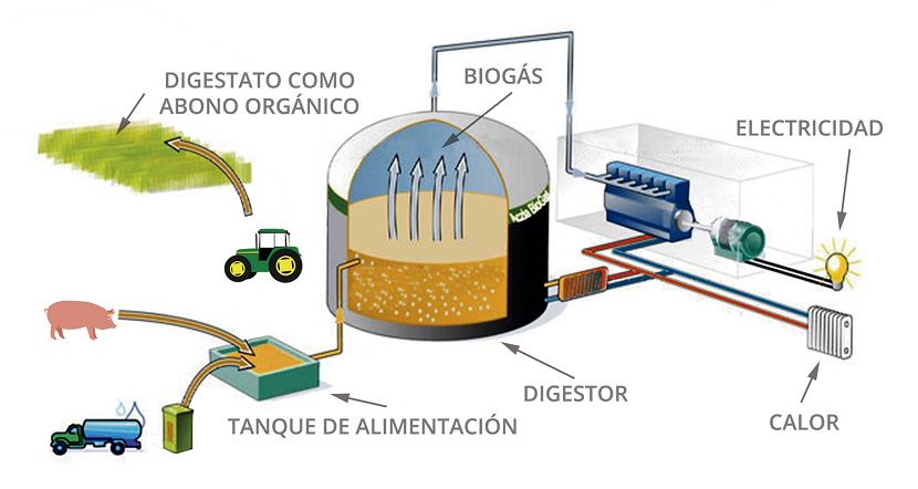 Producción de biogás