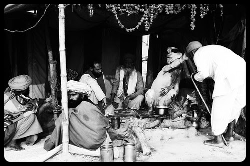 The Maha Kumbh And The Naga Babas Up Close by firoze shakir photographerno1