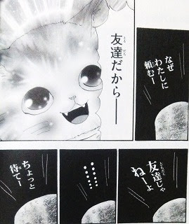 猫mix幻奇譚とらじ 10巻の感想 ネタバレあり まんがと暮らす 楽天ブログ