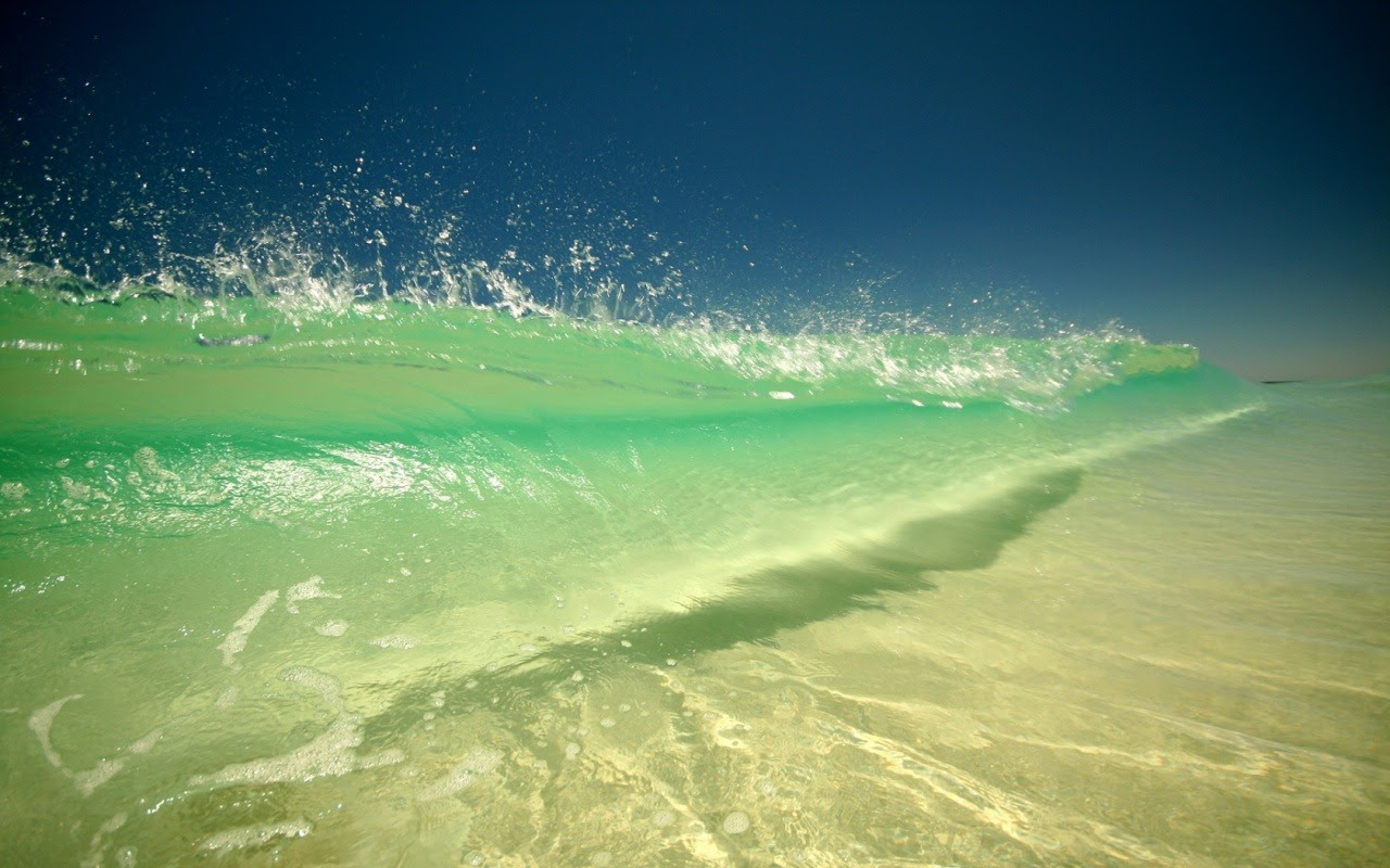 http://24.media.tumblr.com/tumblr_m4rzw4j7YA1rq3xp1o1_1280.jpg