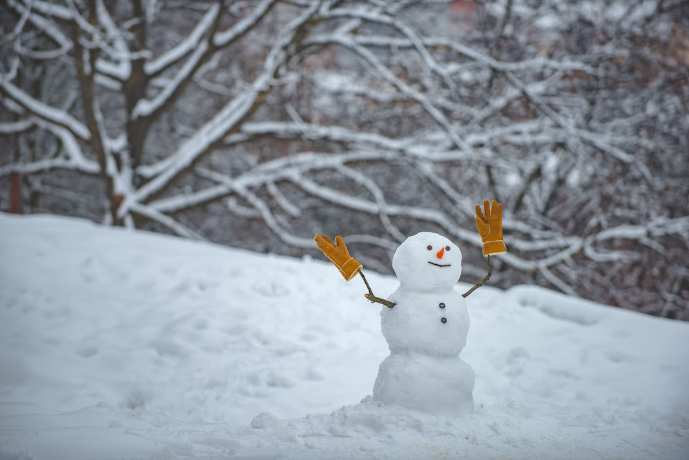 How To Do Snow Days In Little Rock With The Family Little Rock Soiree Magazine