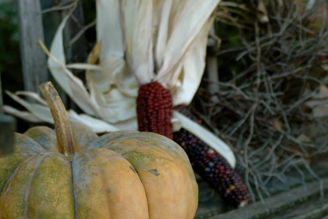 pumpkins